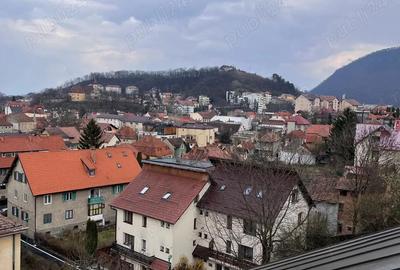 Spatii de birouri Brasov - 1