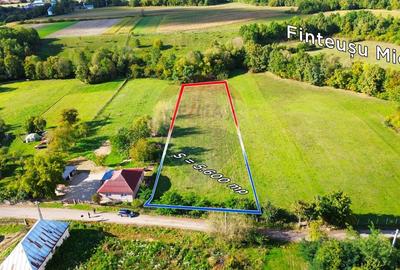 Teren 5,600mp Finteusu Mic / Strada Principala - 2