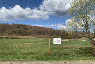 Teren în Central - 5