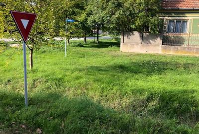 Casă cu 4 camere în Șicula - 8
