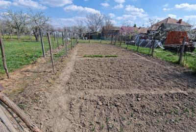 Casă cu 4 camere în Aldești - 4