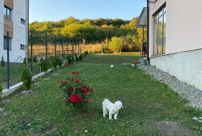 Casa de vanzare in Cartier DaVinci – 118 mp utili, teren generos de 640 mp - 14