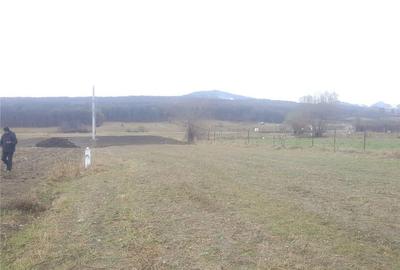 Teren de 2700 mp, în Rășinari - 1