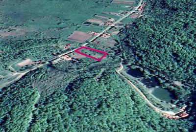 Teren pentru casa de vacanta 4320 mp - 1