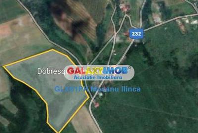 Teren 60000 mp, in Plopu, la 10 km de Ploiesti - 6