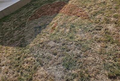 Casa / Vila cu 4 camere de vanzare - 10