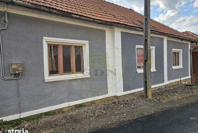 Casă cu 3 camere cu Teren 1011 Mp în Cărpinet - 3