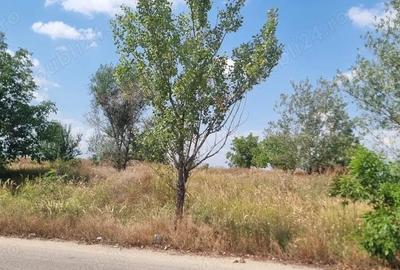 Vand teren intravilan, Pitesti, iesire spre Albota, in sup de 30000 mp - 4