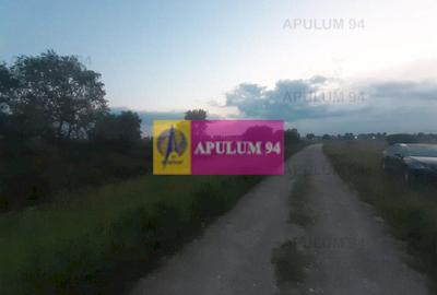 Teren Construcții intravilan de 3820 mp, în 1 Decembrie - 10