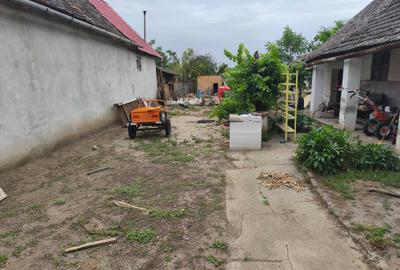 Casă cu 4 camere în Peregu Mic - 8