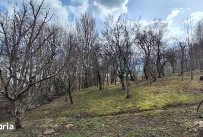 Casă cu 4 camere cu Teren 1600 Mp în Poiana - 6
