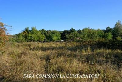 BUDESTI, TEREN 1000 MP, PRIVELISTE MINUNATA - 5