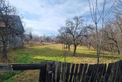 Teren de vanzare in Berivoi - 3
