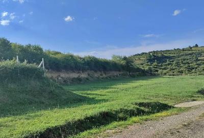 Teren de 1800 mp, în Central - 1