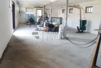 Spațiu comercial, de 180 mp, în Girișu de Criș - 11