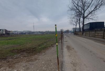 Teren în 1 Decembrie - 8