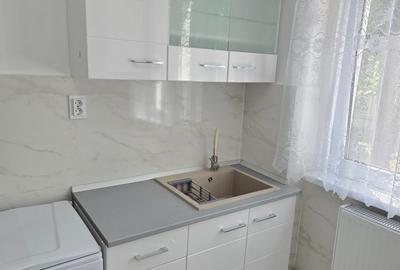 Apartament cu 2 camere nedecomandat în Ultracentral - 5
