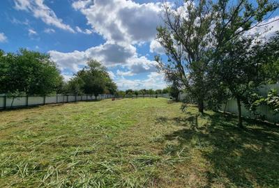 Teren de 2500 mp, în Exterior Vest - 5