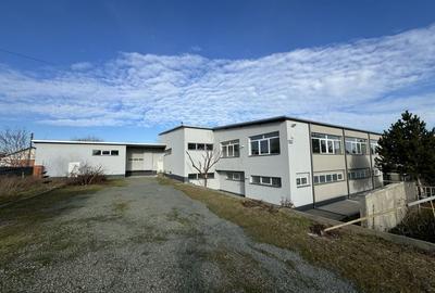 Hala productie P+1 si apartament de serviciu Navodari - c-tie beton - 3