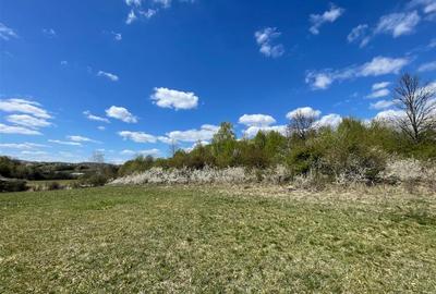 Teren extravilan de 103000 mp, în Bălnaca-Groși - 2