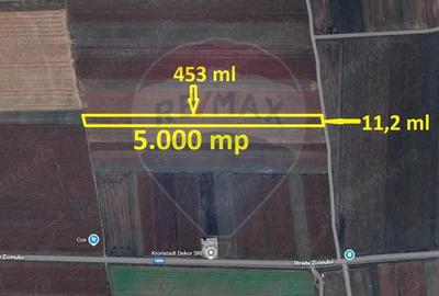 Teren de 5000 mp, în Tărlungeni - 5
