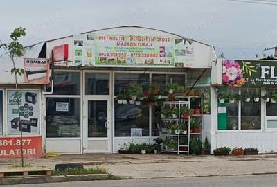 Propietar vind casa ,spatiu comercial - 1