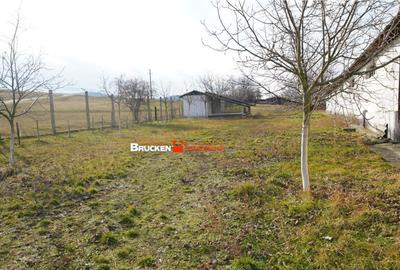 MICRO-FERMA CASA IN VOIVOZI - BIHOR - 6