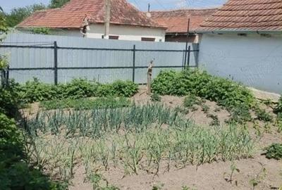 Casă cu 4 camere cu Teren 100 Mp în Central - 4