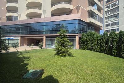 Vanzare Spatiu comercial stradal - Parter si Mezanin - 900 mp Vanzare Spatiu comercial stradal - Parter si Mezanin - 900 mp - 19