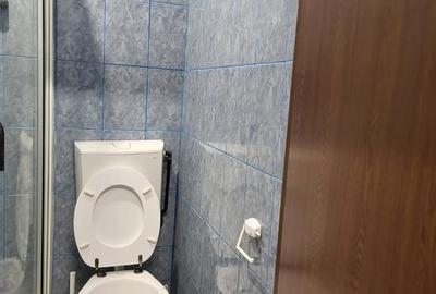 Casă în Roșu - 11