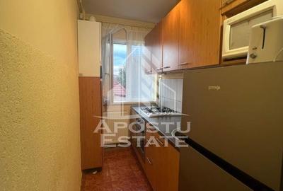 Apartament cu 2 camere, mobilat în Iosefin - 8