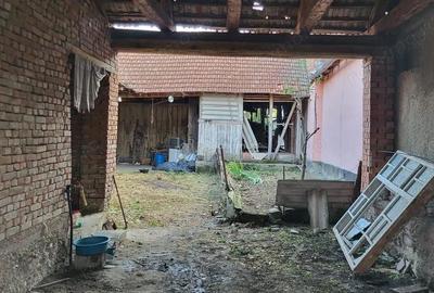 Casă cu Teren 1129 Mp în Berliște - 20