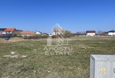 Teren Construcții intravilan de 804 mp, în Ghiroda - 2