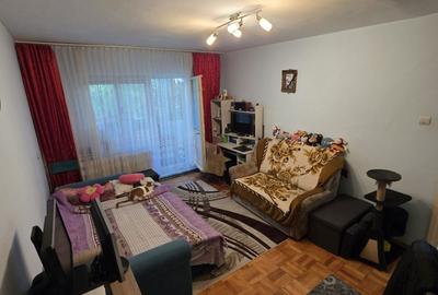 Apartament cu 2 camere decomandat în Lipovei - 3