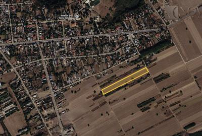 Teren Construcții intravilan de 10805 mp, în Grădiștea - 2
