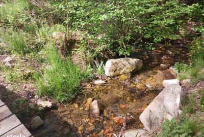 Spațiu comercial, în Gura Râului - 7