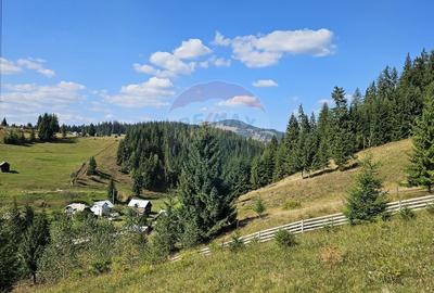 Casă individuală cu 3 camere cu Garaj în Dorna-Arini - 60