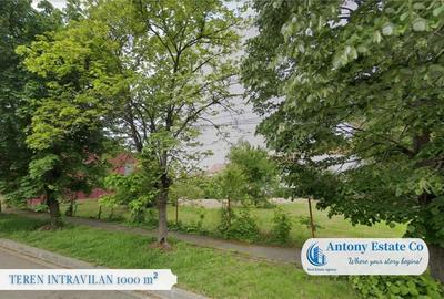 Teren de 1000 mp, în Cantemir - 3