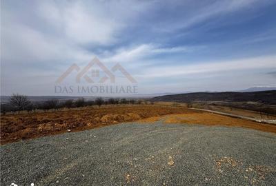 Teren de 3000 mp, în Coaș - 3