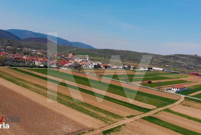 Spațiu comercial, în Orlat - 14