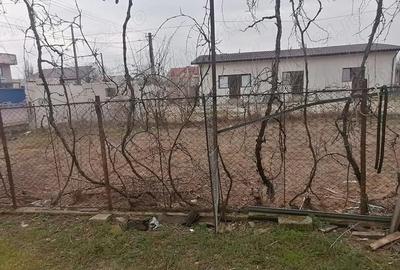 Casă cu Teren 1120 Mp în Potlogi - 1