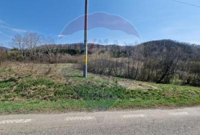 Teren Construcții intravilan de 9428 mp, în Podiș - 3