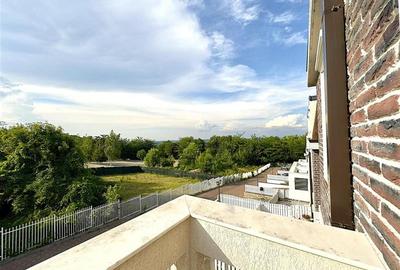 Vila eleganta de inchiriat in Copou - 19