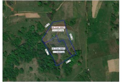Teren agricol extravilan de 10059 mp, în Roșia - 1