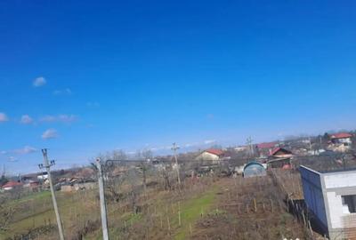 Teren de 1200 mp, în Coșoveni - 5