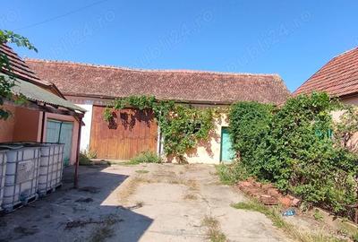 Casă cu 4 camere cu Teren 3000 Mp în Alioș - 15