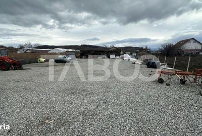 Spațiu comercial, în Șura Mare - 1