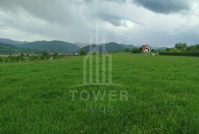 Teren de vinzare in Tropini Vechi - 1