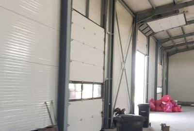 Module hale 120/240/360/480 mp Ciorogarla Autostrada - 3