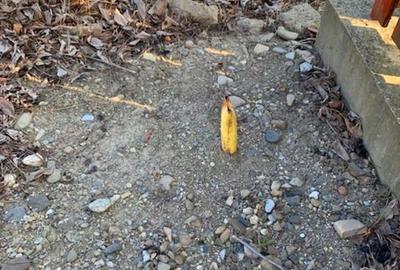 Teren intravilan Piatra Neamt Teren intravilan Piatra Neamt - 4